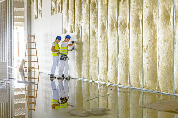 Best Basement Insulation  in Clinton, LA